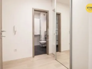 Pronájem bytu 1+kk, Jihlava, Halasova, 43 m2