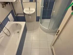 Pronájem bytu 3+1, Planá, 105 m2
