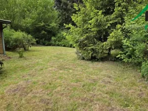 Prodej chaty, Bor, 40 m2