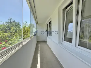 Pronájem bytu 1+1, Praha, Jílovská, 42 m2