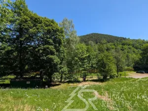 Prodej pozemku, Rejštejn - Klášterský Mlýn, 2979 m2