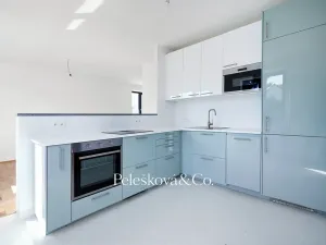 Pronájem rodinného domu, Praha - Braník, V malých domech I, 300 m2
