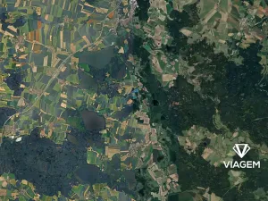 Prodej podílu lesa, Ponědraž, 5504 m2