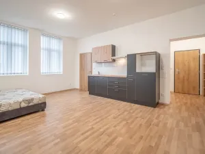 Pronájem bytu 1+kk, Čistá, 45 m2