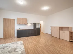 Pronájem bytu 1+kk, Čistá, 45 m2