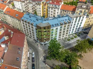 Pronájem bytu 1+kk, Praha, Krymská, 24 m2