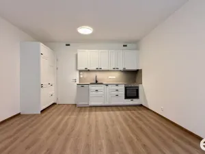 Pronájem bytu 1+kk, Praha, Poděbradská, 33 m2