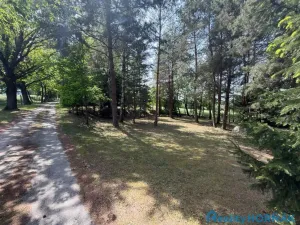 Prodej pozemku pro bydlení, Katovice, 3304 m2