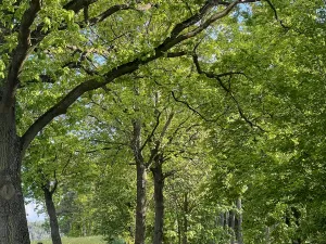 Prodej pozemku pro bydlení, Katovice, 3304 m2