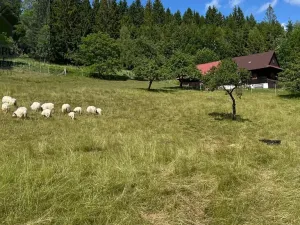 Prodej chalupy, Dolní Bečva, 140 m2