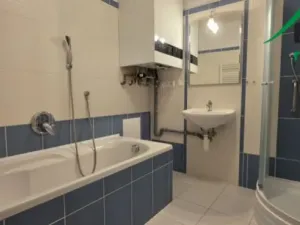 Pronájem bytu 3+1, Planá, nám. Svobody, 105 m2