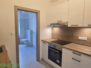 Pronájem bytu 3+kk, Brno, Veveří, 74 m2