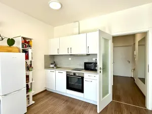 Pronájem bytu 1+kk, Praha - Libeň, U Rokytky, 72 m2