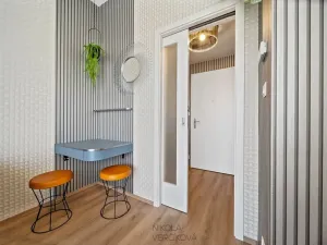 Pronájem bytu 1+kk, Brno, Rybářská, 27 m2