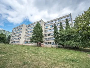 Pronájem bytu 3+1, Litvínov, Valdštejnská, 70 m2