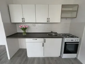 Pronájem bytu 3+1, Litvínov, Valdštejnská, 70 m2
