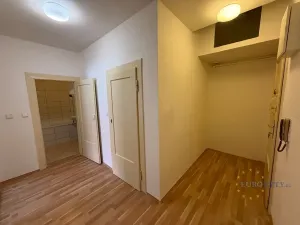 Pronájem bytu 1+kk, Praha - Nusle, Žateckých, 40 m2