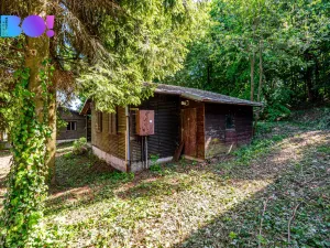 Prodej ubytování, Hranice - Hranice VIII-Středolesí, 1098 m2
