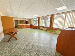 Prodej obchodního prostoru, Drnovice, 342 m2