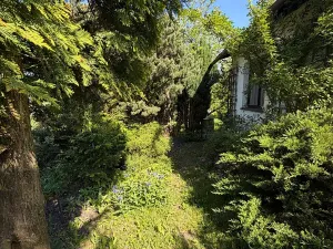 Prodej chaty, Kostelec u Holešova, 17 m2