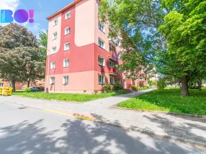 Prodej bytu 2+1, Přerov, Interbrigadistů, 52 m2