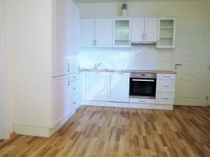 Pronájem bytu 2+kk, Plzeň, U Borských kasáren, 47 m2