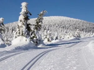 Prodej bytu 3+kk, Janov nad Nisou - Hraničná, 82 m2