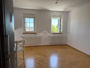 Pronájem bytu 1+1, Chomutov, Holečkova, 57 m2
