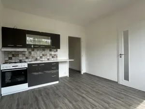 Pronájem bytu 1+1, Duchcov, Osecká, 36 m2