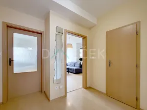 Pronájem bytu 2+kk, Brno, Leskauerova, 54 m2