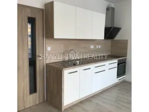Pronájem bytu 1+kk, České Budějovice - České Budějovice 2, Volejbalistů, 28 m2
