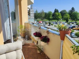 Pronájem bytu 2+kk, České Budějovice - České Budějovice 3, Jírovcova, 56 m2