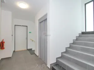 Pronájem bytu 2+kk, Praha - Bohnice, Pekařova, 43 m2
