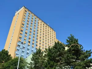 Pronájem garáže, Praha, Štúrova, 15 m2