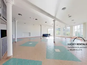 Pronájem bytu 1+kk, Průhonice, U Křížku, 20 m2