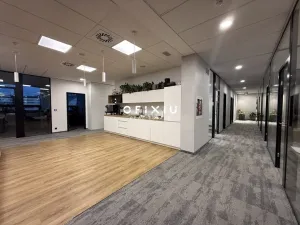 Pronájem kanceláře, Praha, Boudníkova, 1000 m2
