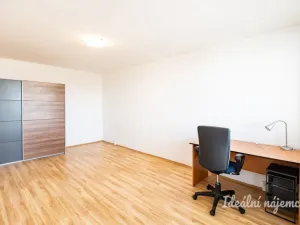 Pronájem bytu 2+1, Praha - Žižkov, Jilmová, 54 m2
