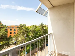 Pronájem bytu 2+1, Praha - Žižkov, Jilmová, 54 m2
