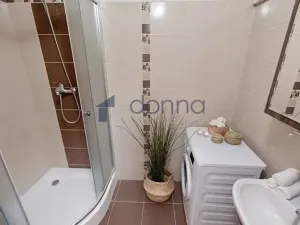 Pronájem bytu 1+1, Praha, Prvního pluku, 48 m2