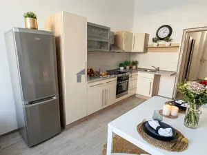 Pronájem bytu 1+1, Praha, Prvního pluku, 48 m2