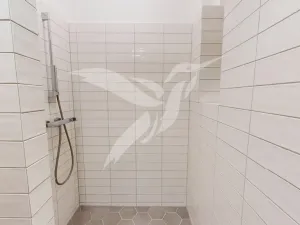 Pronájem bytu 2+kk, Plzeň, Zikmunda Wintra, 52 m2