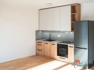 Pronájem bytu 1+kk, Brno - Zábrdovice, Bratislavská, 35 m2