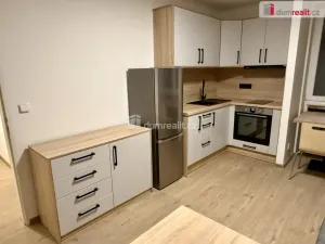 Pronájem rodinného domu, Mariánské Lázně - Hamrníky, třída Vítězství, 31 m2