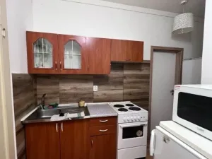 Pronájem bytu 5+kk, Brno, Čejkova, 104 m2