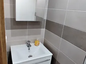 Pronájem bytu 1+1, Přerov, U Tenisu, 42 m2