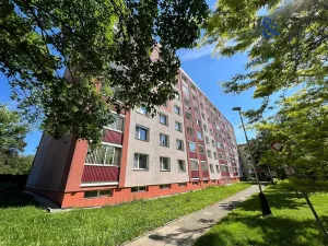 Pronájem bytu 1+1, Přerov, U Tenisu, 42 m2