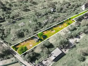 Prodej zahrady, Brno - Černovice, Vinohradská, 1746 m2
