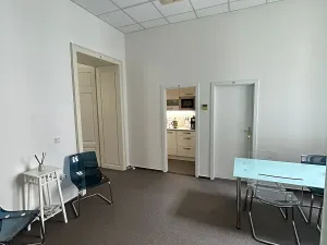 Pronájem kanceláře, Brno, náměstí Svobody, 387 m2
