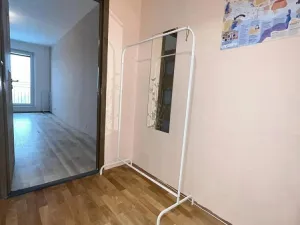 Prodej bytu 1+kk, Ostrava - Zábřeh, Petruškova, 28 m2