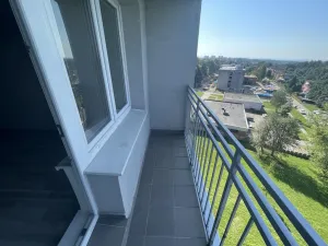 Prodej bytu 1+kk, Ostrava - Zábřeh, Petruškova, 28 m2